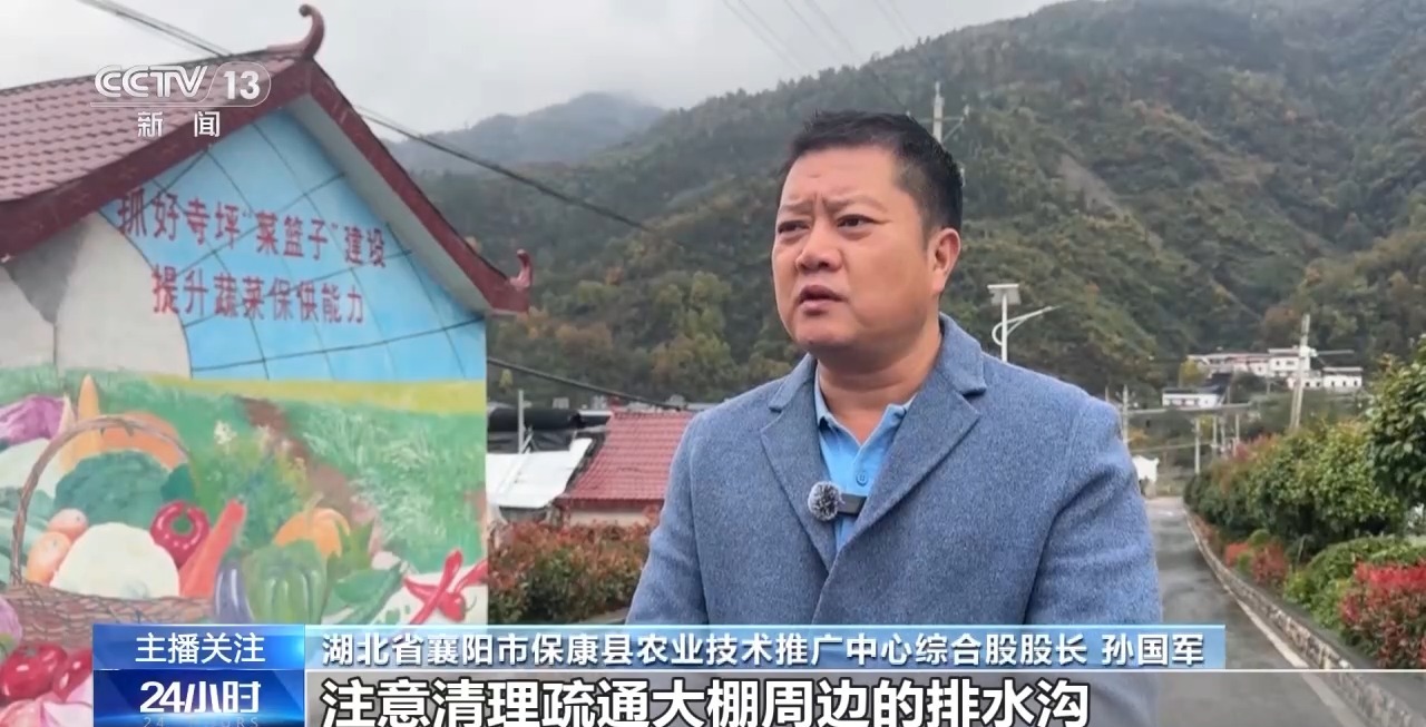 被 寒潮下蔬菜这样稳产保供尊龙凯时APP蔬菜也要盖棉(图2)