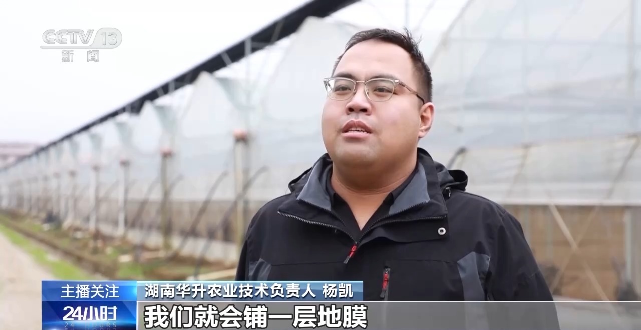 被 寒潮下蔬菜这样稳产保供尊龙凯时APP蔬菜也要盖棉(图4)