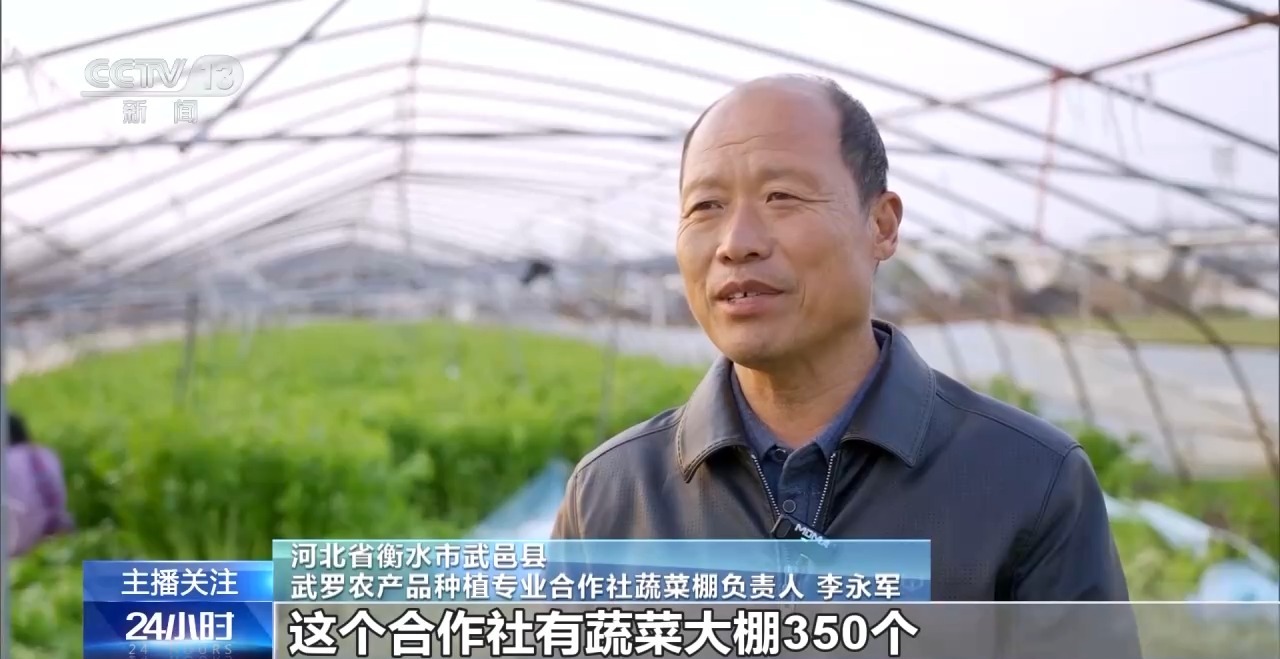 被 寒潮下蔬菜这样稳产保供尊龙凯时APP蔬菜也要盖棉(图14)