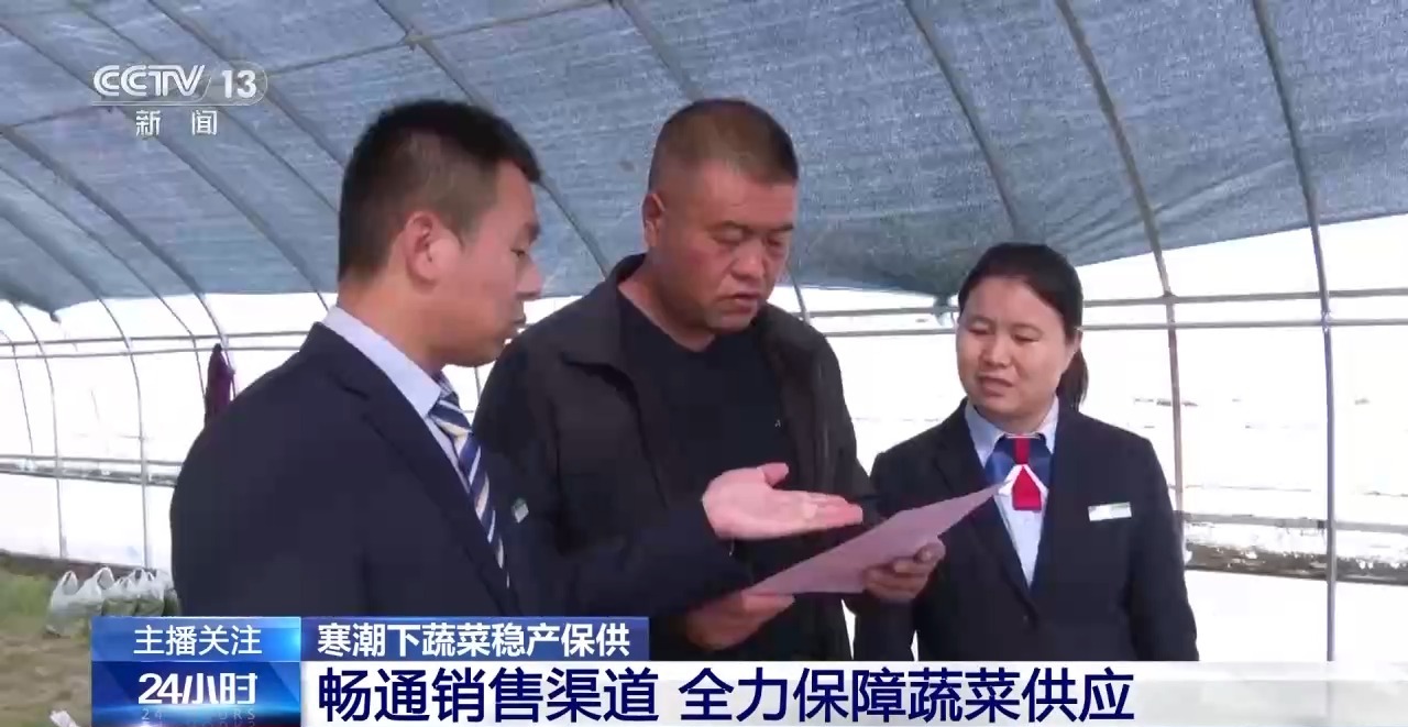 被 寒潮下蔬菜这样稳产保供尊龙凯时APP蔬菜也要盖棉(图13)