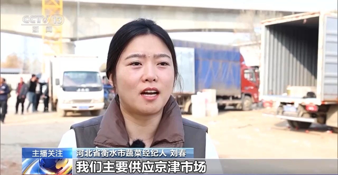被 寒潮下蔬菜这样稳产保供尊龙凯时APP蔬菜也要盖棉(图12)