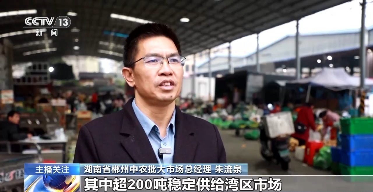 被 寒潮下蔬菜这样稳产保供尊龙凯时APP蔬菜也要盖棉(图9)